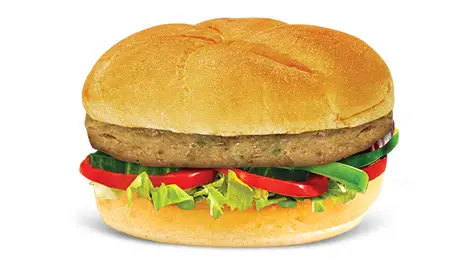 Subway Menu Pakistan with Prices: Latest and Updated 16 Chotu Sub - Super Savors